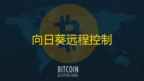 抖音点赞链接入口(免费)向日葵远程控制