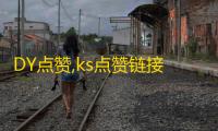 DY点赞,ks点赞链接入口 - 抖音一毛钱10000播放量 - 网红助手24小时下单平台